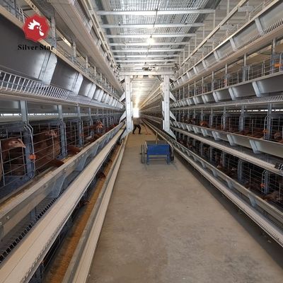Battery Chicken Cages Fully Automatic Environmental Controlled System Suitable for Poultry Farming