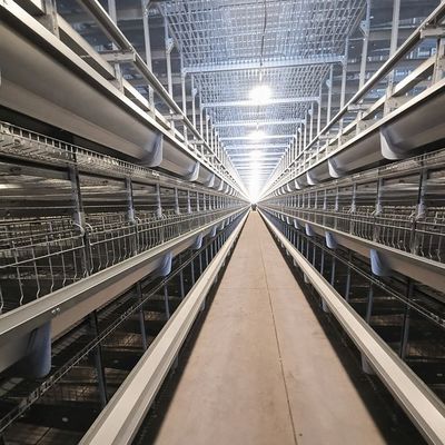 Γαλβανισμένος εν θερμώ γαλβανισμένος τύπος H Κλουβί υψηλής χωρητικότητας Αυτοματοποιημένος κλωβός πουλερικών με αυτόματη τροφοδοσία για μεγάλη φάρμα πουλερικών