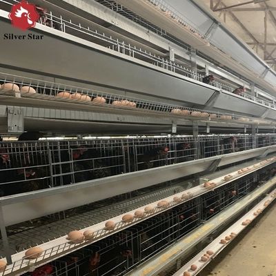 Αυτοματοποιημένα Συστήματα Κλωβοστοιχιών Ωοτόκων Ορνίθων Τύπου Η Υψηλής Απόδοσης με Αυτόματο Έλεγχο Κλίματος