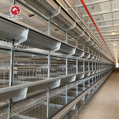 Hot Dip Galvanized Steel High Capacity Poultry Automatic Feeding & Drinking System for Layer Chicken Cage