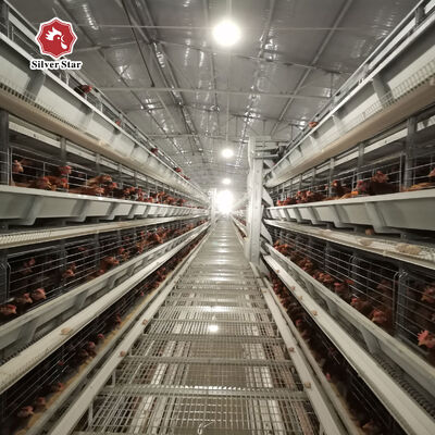 Τύπος H στρώμα κλουβί κοτόπουλου με 20 χρόνια ζωής για 54-216 κόρες σε 3-8 επίπεδα