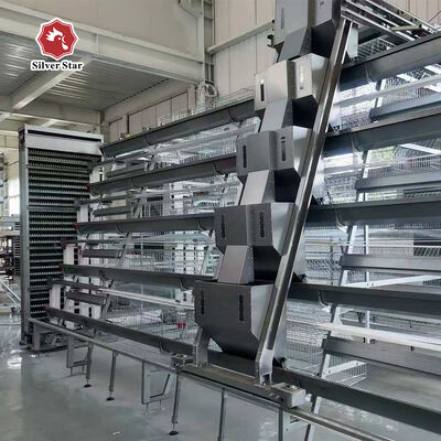 A-Type Layer Chicken Cage System with 3-Tier / 4-Tier Design, Automatic Feeding & Egg Collection, and Hot-Dip Galvanized Steel Construction