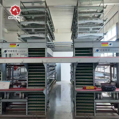 Automatic Poultry Farm Equipment High-Density H-Type Layer Battery Chicken Cage System for Egg Production Farm