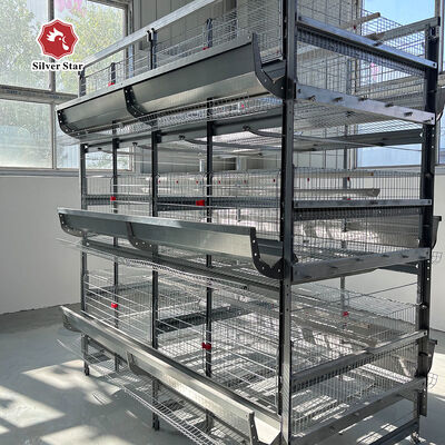 Factory Price Automatic H-Type Layer Battery Chicken Cage for Commercial Poultry Farm with 20+ Years Lifespan