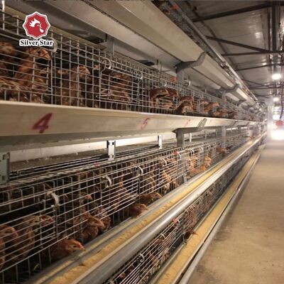 Αυτόματο σύστημα κλουβιάς αναπαραγωγής νεογνών τύπου Α με ζεστή γκάλβωση και αυτόματη συσκευή πτήσης για ρώγες για 100-300 κοτόπουλα/σετ