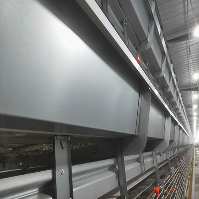 Full Automatic H-Type Meat Broiler Cage System for High-Density Commercial Poultry Farming with Hot-Dip Galvanized Steel