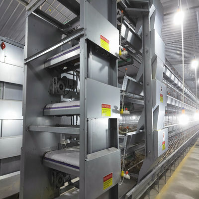Commercial H Type Broiler Cage System for Large Scale Poultry Farms