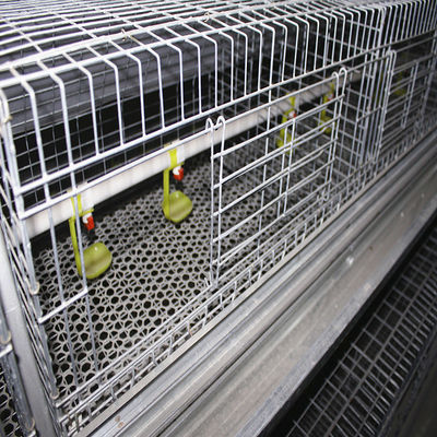 6 Layers Baby Chick Brooder Cage H Type Chicken Brooder Growing Cage