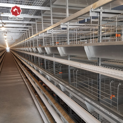 Hot Galvanized Layer Battery Chicken Cage For Farm 72 birds / set