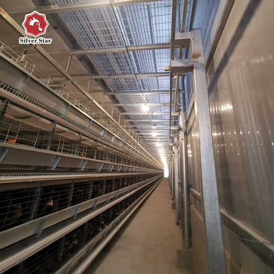 Anti Rust H Type Layer Battery Cages For Laying Hens 108 birds / set