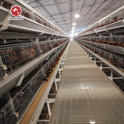 6 Tiers 204 Birds Broiler 45 Days Chicken Cage Battery Pullet