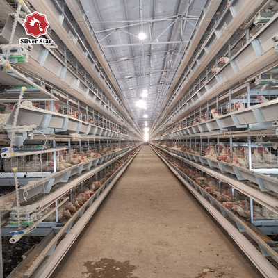 H Type 2.5mm Open House Battery Cage System 450cm2/Bird Area
