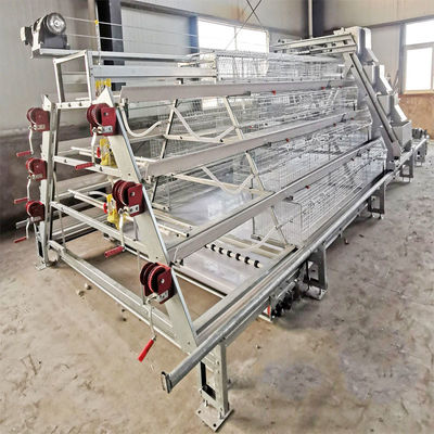 Hot Galvanized A Type Broiler Baby Chick Cage  For Automatic Rearing
