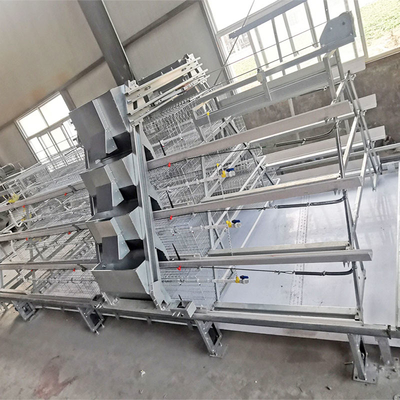 Broiler Meat Galvanized Chicken Cage 13 Chicks/Cell Automatic Feeding