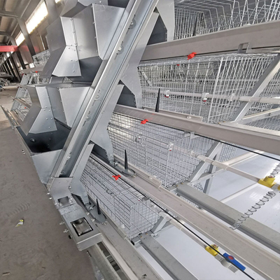 Broiler Meat Galvanized Chicken Cage 13 Chicks/Cell Automatic Feeding