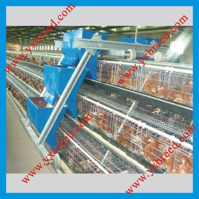 Poultry Farm Layer Chicken Cage 410x410mm A Type Egg Chicken Cage