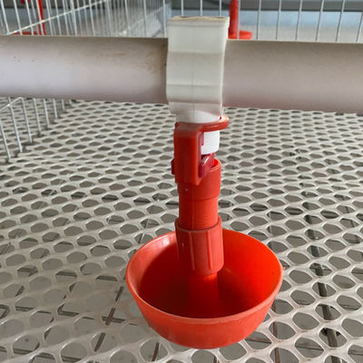 Heavy Duty H Type Broiler Cage System with Feeding and Drinking Equipment